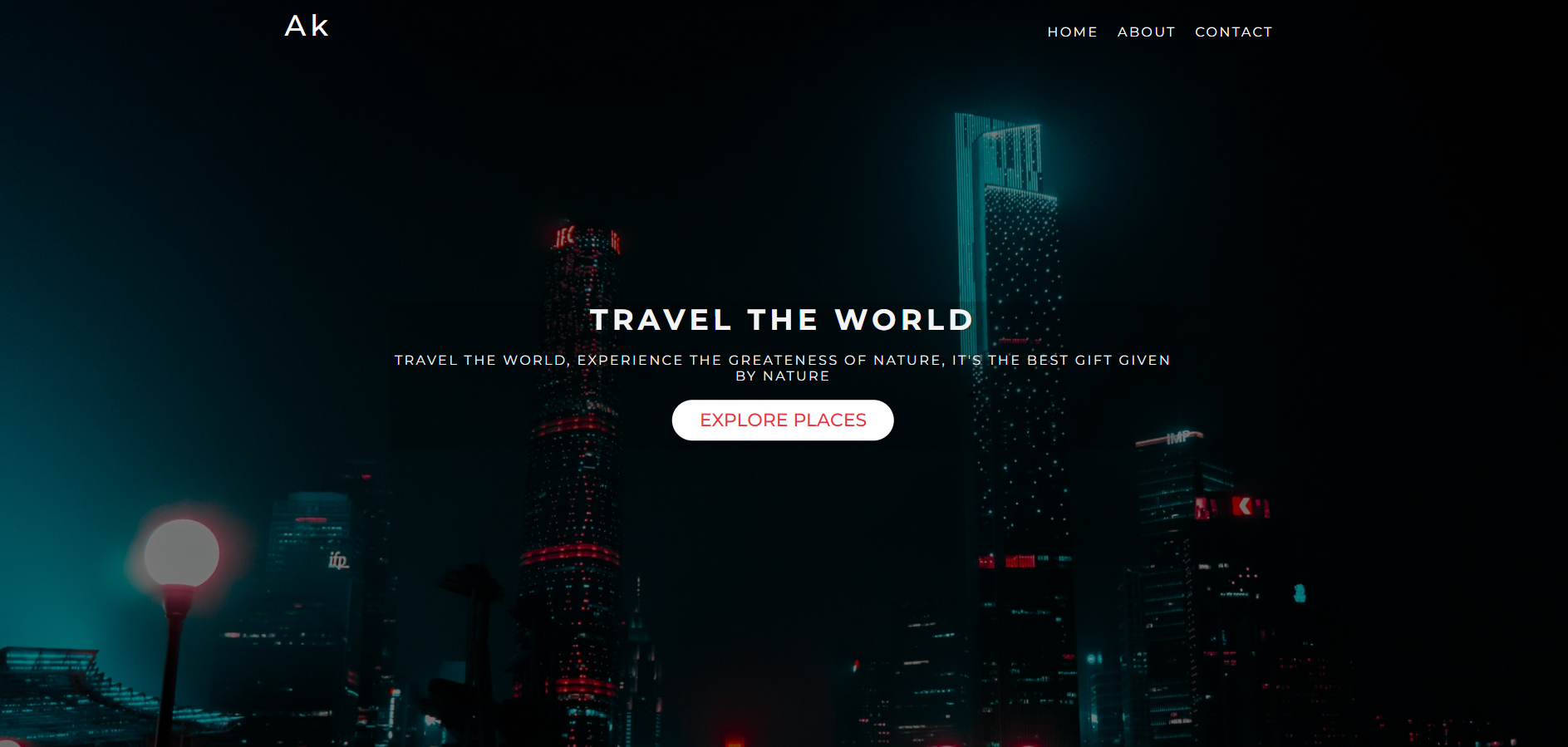 Travel Website